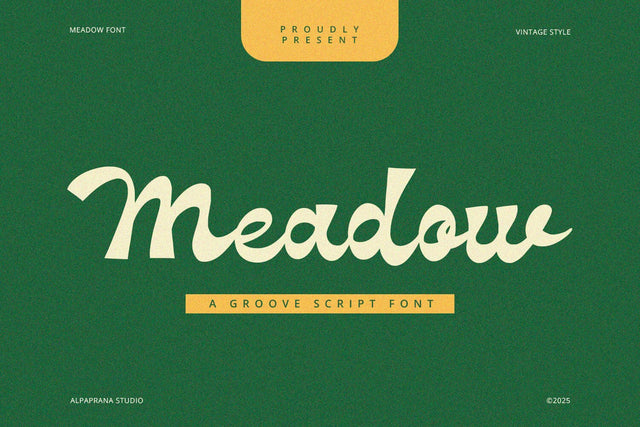 Meadow - Groove Script Font Font Alpaprana Studio 