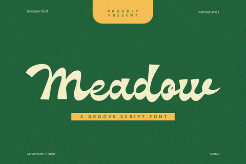 Meadow - Groove Script Font Font Alpaprana Studio 
