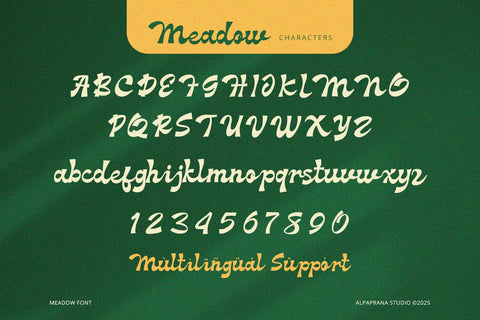 Meadow - Groove Script Font Font Alpaprana Studio 
