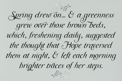 Meadowgrove Calligraphy Display Font Font Beck McCormick 