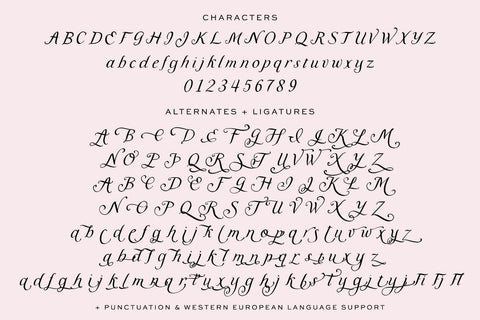 Meadowgrove Calligraphy Display Font Font Beck McCormick 