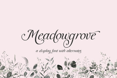 Meadowgrove Calligraphy Display Font Font Beck McCormick 
