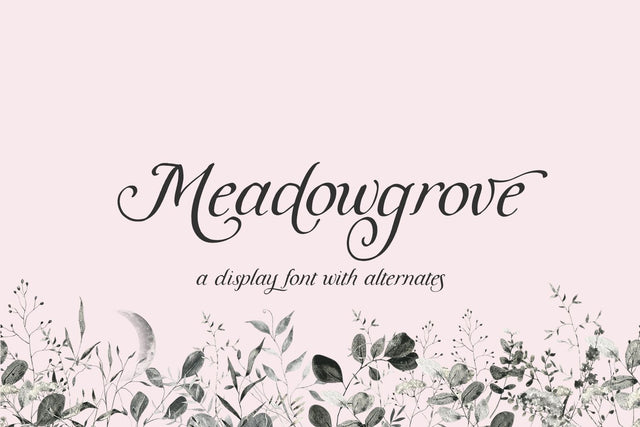 Meadowgrove Calligraphy Display Font Font Beck McCormick 