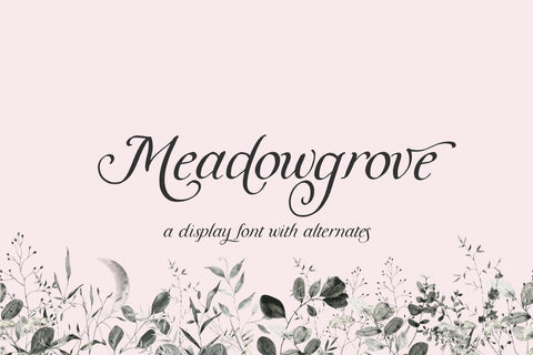 Meadowgrove Calligraphy Display Font Font Beck McCormick 