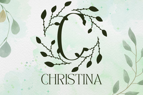 Meadowise Monogram Font Dm Letter Studio 