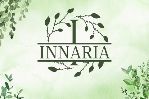 Meadowise Split Monogram Font Dm Letter Studio 