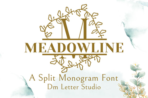 MeadowLine Split Monogram Font Dm Letter Studio 