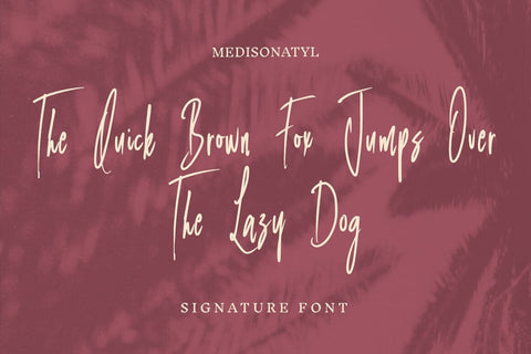 Medisonatyl Signature Typeface Font Fadeline Std. 