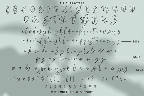Megidame Signature Typeface Font Fadeline Std. 