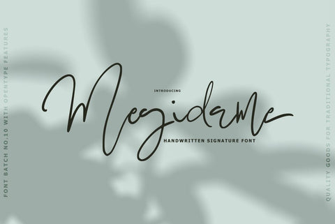 Megidame Signature Typeface Font Fadeline Std. 