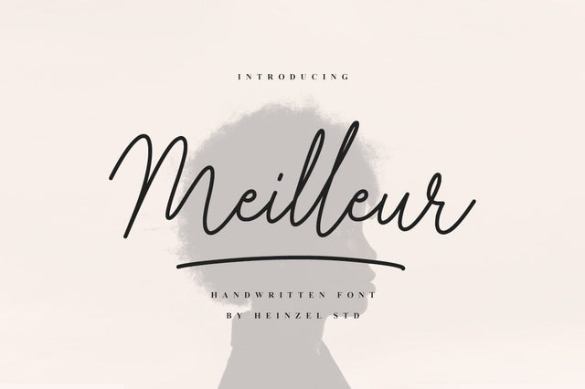 Meilleur Handwritten Font Font Heinzel Studio 