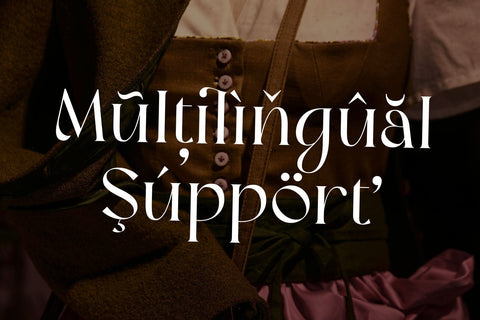 Meisha Nagita - Unique Serif Font Arterfak Project 