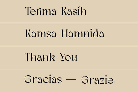 Meisha Nagita - Unique Serif Font Arterfak Project 