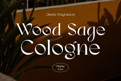 Meisha Nagita - Unique Serif Font Arterfak Project 