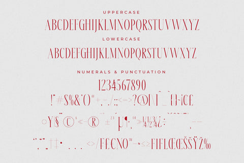 Meksron - Modern Serif Font Font Letterena Studios 