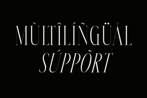 Meksron - Modern Serif Font Font Letterena Studios 