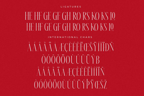 Meksron - Modern Serif Font Font Letterena Studios 