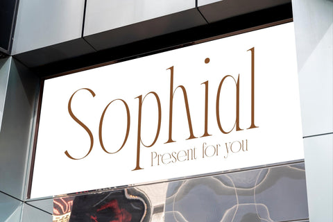 Meliodash Typeface Font Storytype Studio 