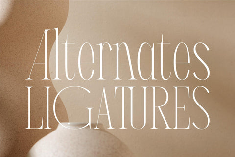 Meliodash Typeface Font Storytype Studio 