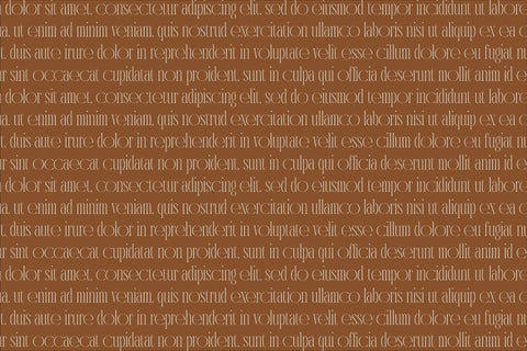 Meliodash Typeface Font Storytype Studio 