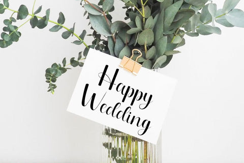 Meliora - Elegant Script Font Font Masyafi Studio 