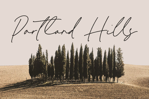 Melisma Signature - Handwritten Script Font Font Timur type 