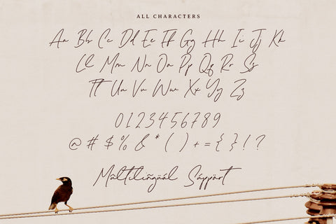 Melisma Signature - Handwritten Script Font Font Timur type 