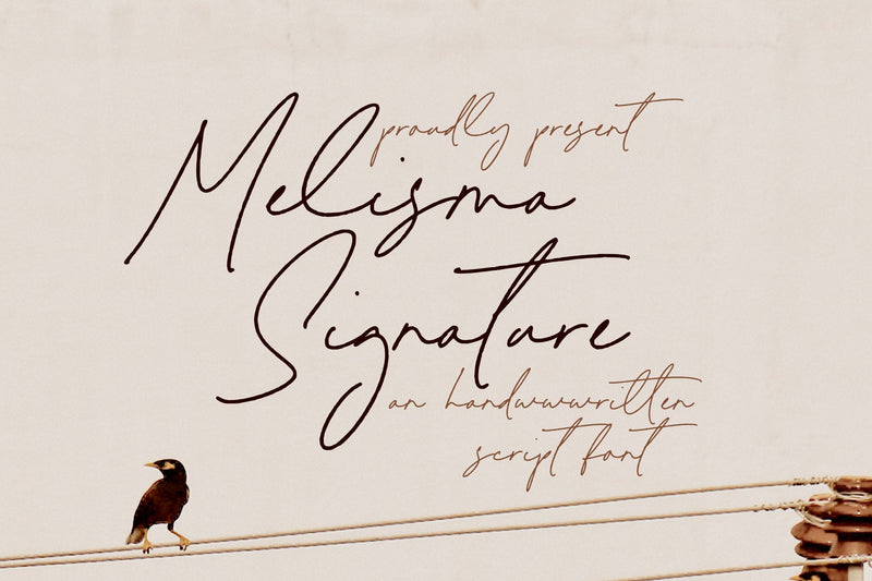Melisma Signature - Handwritten Script Font Font Timur type 