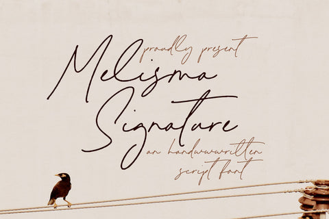 Melisma Signature - Handwritten Script Font Font Timur type 