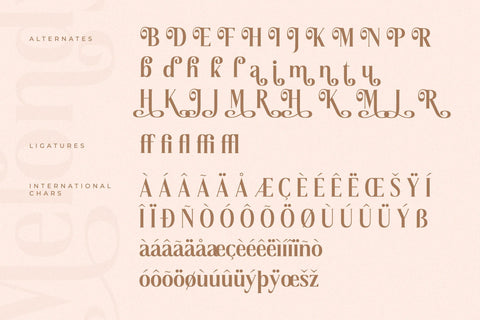 Melondy - Modern Stylish Serif Font Storytype Studio 