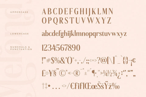 Melondy - Modern Stylish Serif Font Storytype Studio 