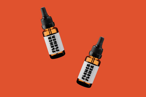 Meltipop Varsity Font Font Dm Letter Studio 