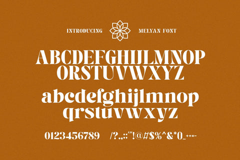 Melyan - Classy & Stylish Serif Font studioalmeera 