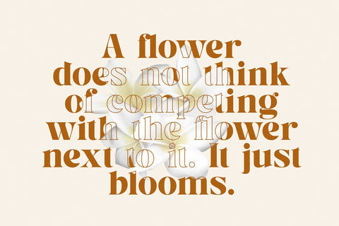 Melyan - Classy & Stylish Serif Font studioalmeera 