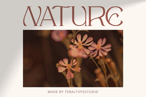 Mergian Modern Serif Typeface Font Fadeline Std. 