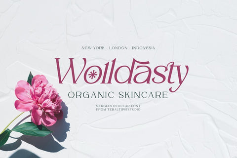Mergian Modern Serif Typeface Font Fadeline Std. 
