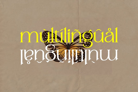Mergian Modern Serif Typeface Font Fadeline Std. 