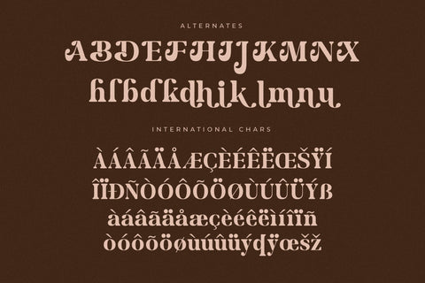 Merifto - Modern Serif Font Font Storytype Studio 