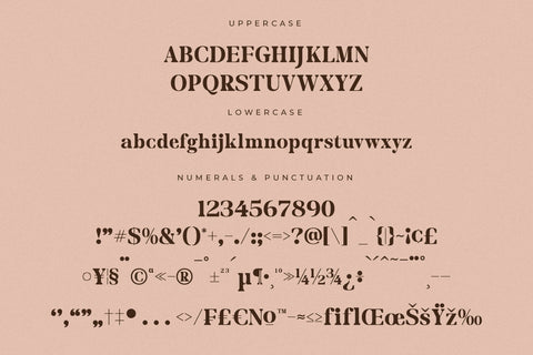 Merifto - Modern Serif Font Font Storytype Studio 