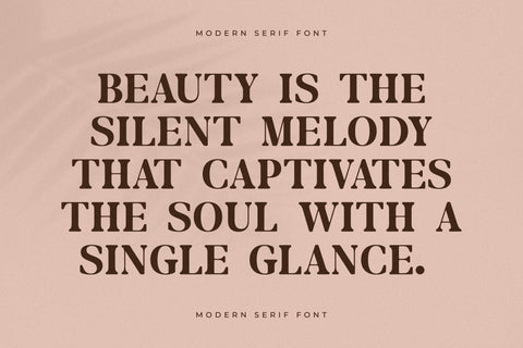 Merifto - Modern Serif Font Font Storytype Studio 