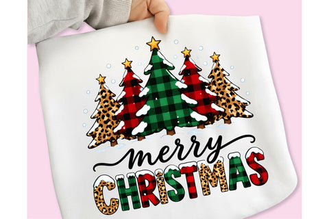 Merry Christmas PNG, Believe in the Magic of Christmas PNG Sublimation DesignPlante 503 