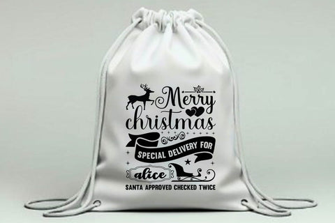 Merry christmas special delivery for alice santa approved checked twice SVG Angelina750 