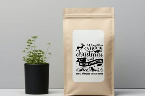Merry christmas special delivery for alice santa approved checked twice SVG Angelina750 