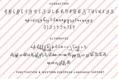Merry Everything Script Font Beck McCormick 