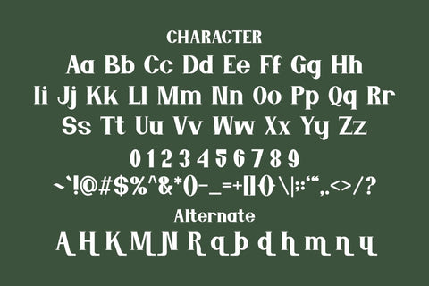 Merry Mindset - Elegant Serif Font Font Masyafi Studio 