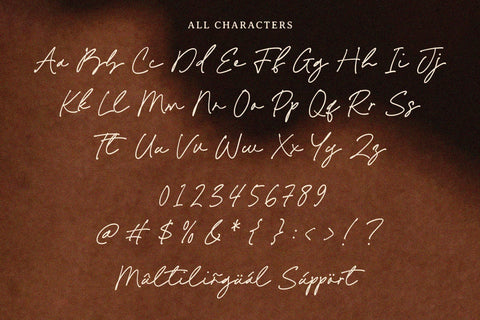 Metaphor Story - Modern Handwriting Font Font Timur type 