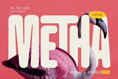 Metha Font Zeenesia Std 
