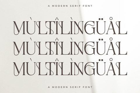 Metrolin – Modern Serif Font Font Storytype Studio 