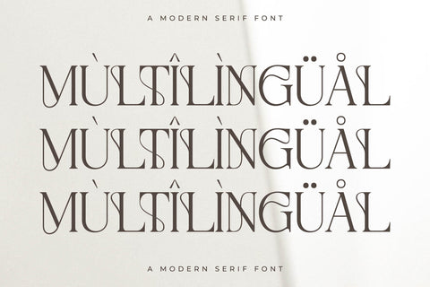 Metrolin – Modern Serif Font Font Storytype Studio 