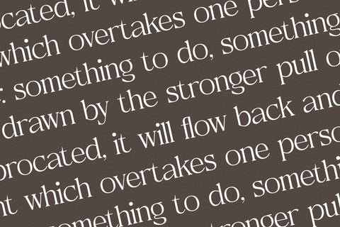 Metrolin – Modern Serif Font Font Storytype Studio 